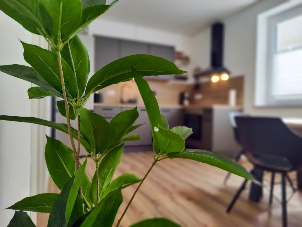 Hygge Home - Mit Garten Und Stellplatz Fuer Feriengaeste-, Monteure / Netflix / 10 Min. Zur Sinsheim Therme Und Zur Autobahn Bagian luar foto