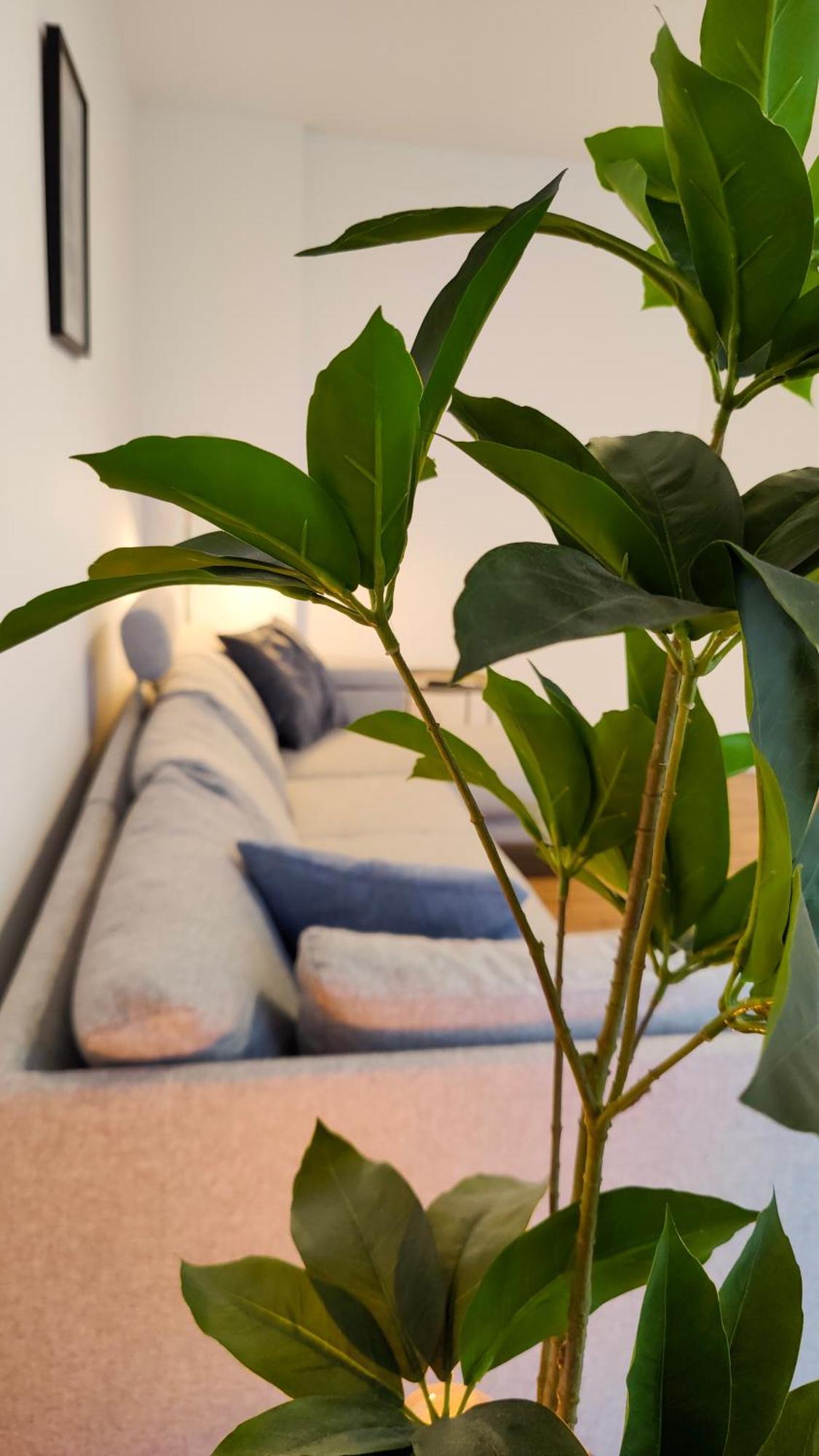 Hygge Home - Mit Garten Und Stellplatz Fuer Feriengaeste-, Monteure / Netflix / 10 Min. Zur Sinsheim Therme Und Zur Autobahn Bagian luar foto